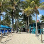 BeachPalms